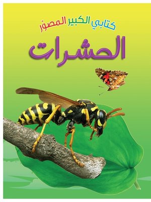 cover image of كتابي الكبير المصور : الحشرات